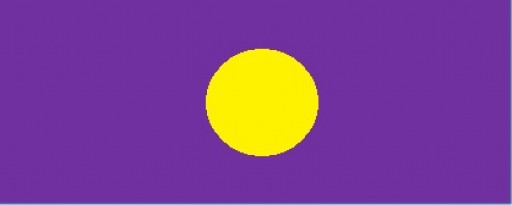 PULSE of NY Launches Universal Patient Safety Flag